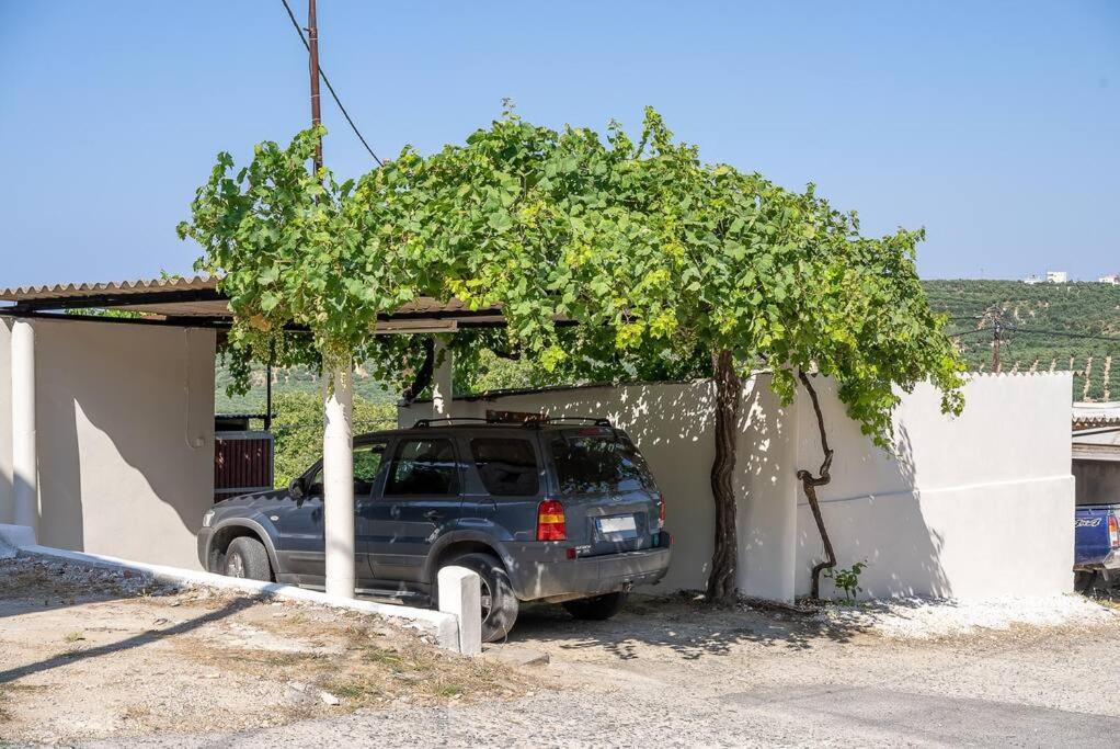 Ferienhaus Manos *